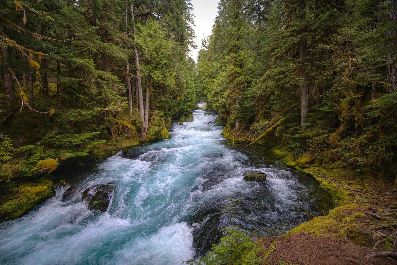 A river in Oregon
